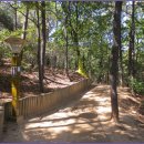 안골길 9 이미지