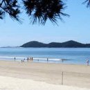 장삼포해수욕장 이미지