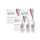 지엘 핏 이미지