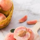 수원-0332 이미지