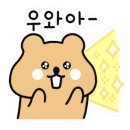 베이비라이크스튜디오 이미지