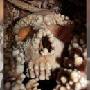 EOS PC ZONE 이미지