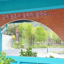 백년유자 이미지