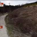 사건반장에 나온 유튜버 납치,살인미수 사건 이미지