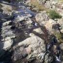 직지농장 이미지