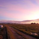 노을지는농장 이미지