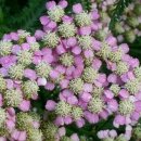 도원민박 이미지