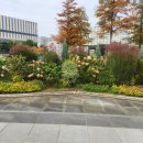 마곡푸른공인중개사사무소 이미지