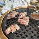 돈백꽃도두점