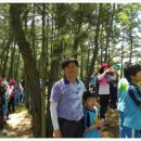 남정초등학교 이미지