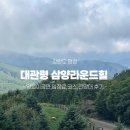 고산목장 | 평창가볼만한곳, 대관령 삼양라운드힐(삼양목장) 양몰이공연 - 입장료,코스,전망대 방문후기