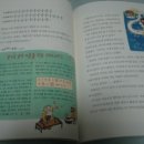 체안미 이미지