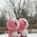 트램폴린파크 이미지