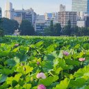 본인이 열심히 하지도 않고 축원만 해서는 좋은 결과가 나오지 않습니다 이미지