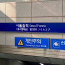 [공지] [성수 나들이 #1] 디 뮤지엄, 취향 가옥 전시 관람 후기