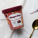 가나슈 초콜릿 | 신상 아이스크림 하겐다즈 마카롱 더블초콜릿 가나슈 솔직한 후기