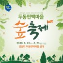 두동편백 이미지