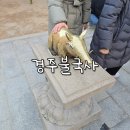 황금돼지PC샵 | 가을 경주 불국사 산책 (다시 만난 황금돼지, 입장료 무료)