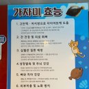 상희식당 | 속초 고속 버스터미널 맛집, 현지인이 찾는 속초 현지 맛집 상희네 한정식집도 울고 갈 후기