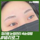 쉐리로그