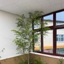 평택중앙초등학교 이미지