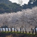 운곡면사무소 이미지