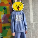 롯데아울렛피그먼트 이미지