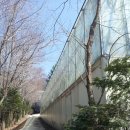 광릉금리원 이미지