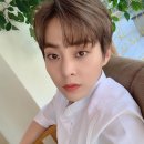 댕댕댕 Daum카페
