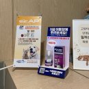 달서구24시동물병원 , 바른동물의료센터 고양이 건강검진 후기