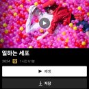 실사랑 이미지