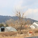 승원농장 이미지