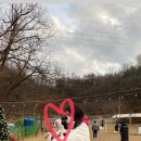 애견랜드 이미지