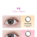 렌즈베리 이미지