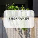 연세행복을심는치과의원 이미지