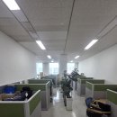 티티매니지먼트 | 보험회사 이사후 네트워크 구성·랜선정리·허브구성 제대로 안하면 업무마비 됩니다.