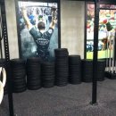 크로스핏 핏불 이미지