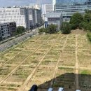 행복을 farm 미디어투데이