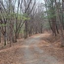 원수산 누리길 이미지