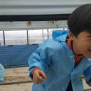 화룡농장 이미지