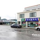 풍년종묘농약사 이미지