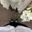 증산보건진료소앞 | 제주 벚꽃과 함께한 셀프스냅 (1)