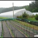 새천년농장 이미지