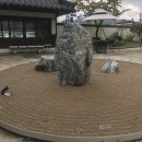 아산 카페 &#39;고목림&#39; 방문 후기