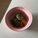 페일블루닷 이미지