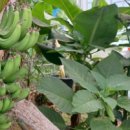 순곤농장 이미지