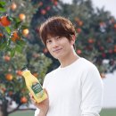지성광고