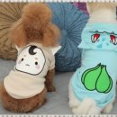 오구 수제간식 이미지