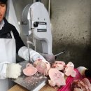 콩이네 멍냥 수제간식 이미지