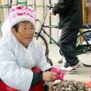 해남5일시장 이미지